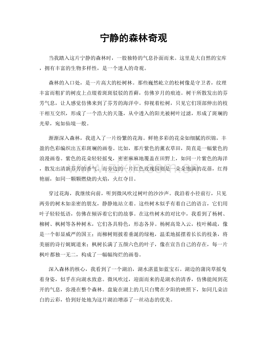 宁静的森林奇观.docx_第1页