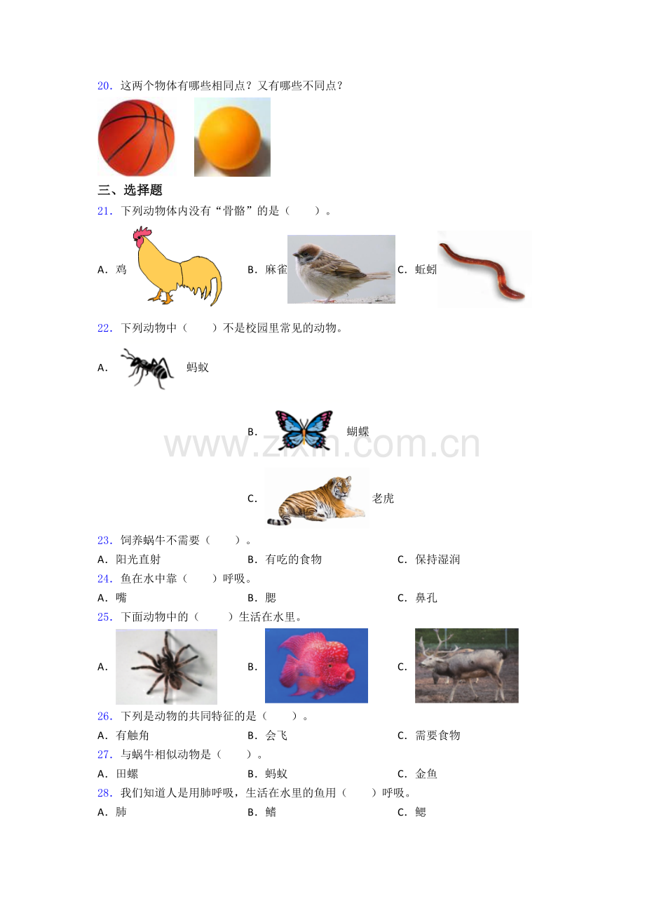 教科版一年级科学下册期末试卷复习练习(Word版含答案).doc_第3页