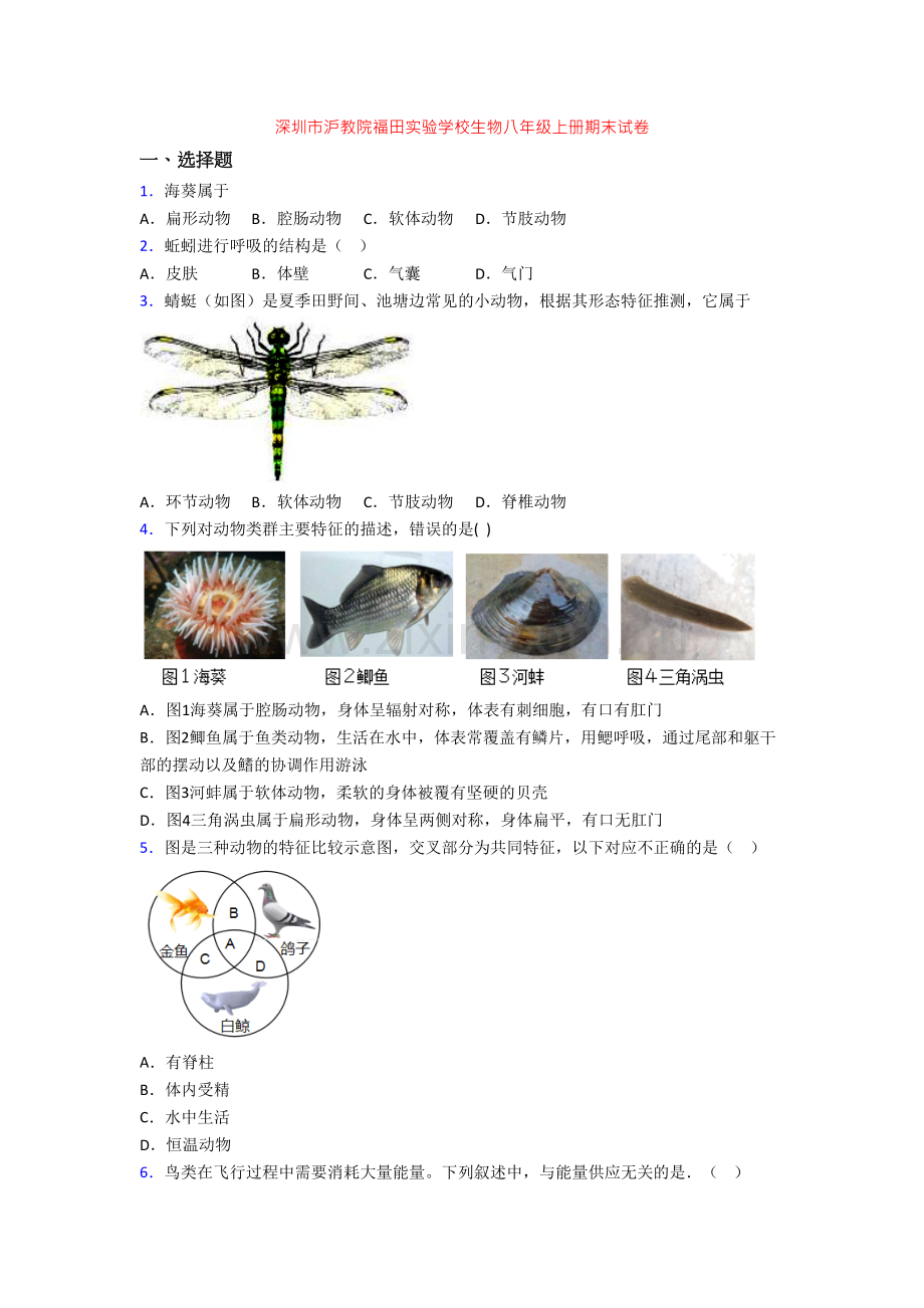 深圳市沪教院福田实验学校生物八年级上册期末试卷.doc_第1页