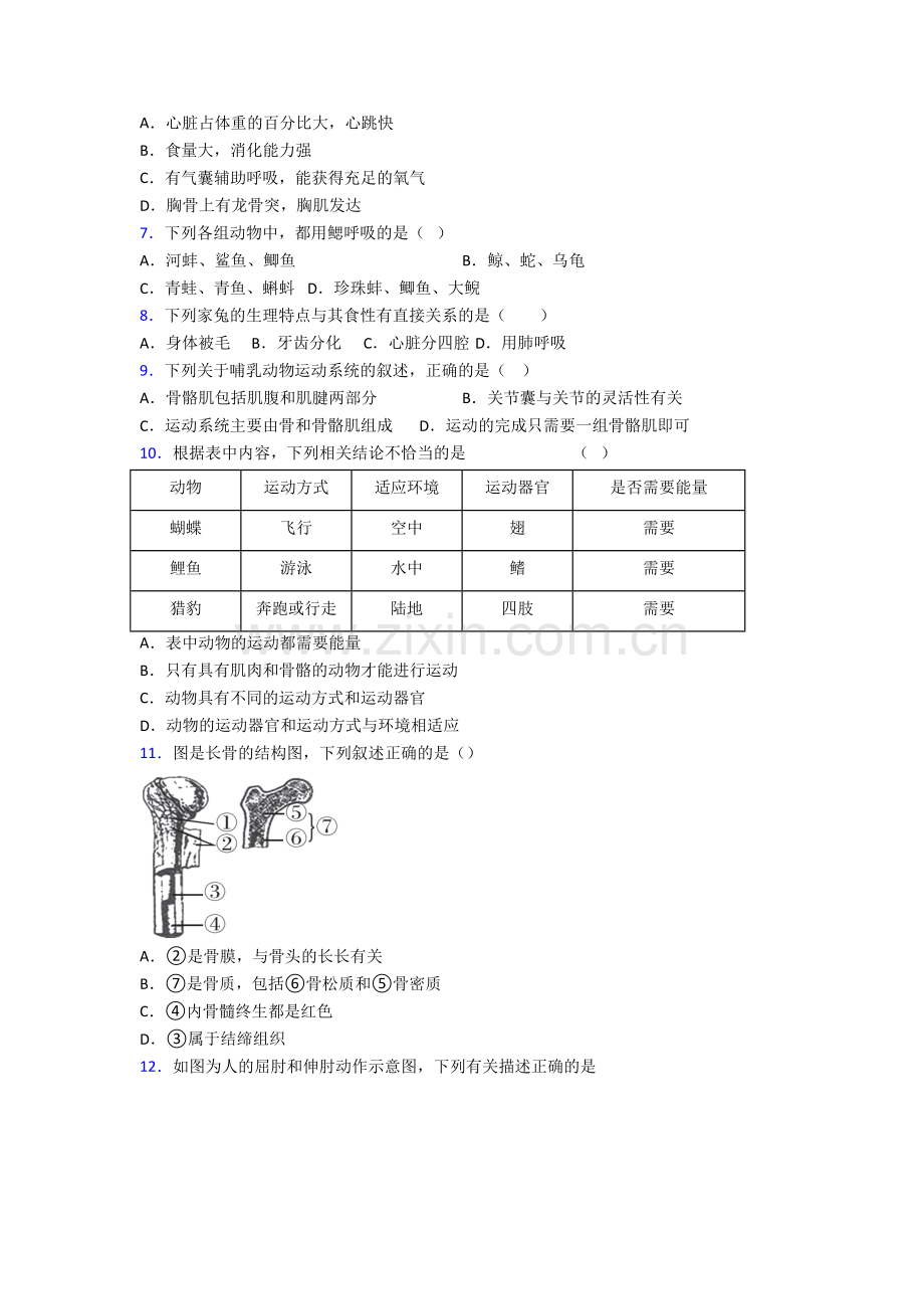 深圳市沪教院福田实验学校生物八年级上册期末试卷.doc_第2页