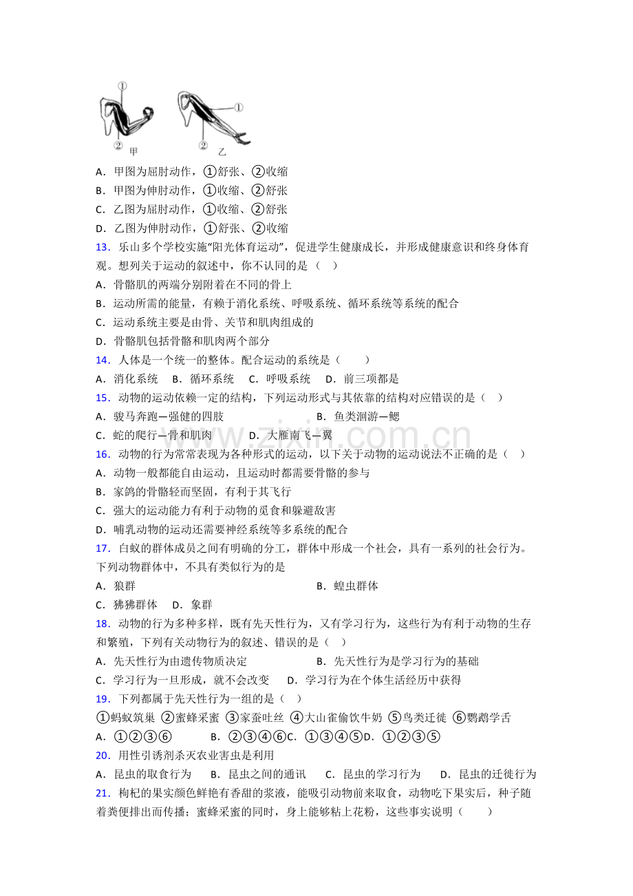 深圳市沪教院福田实验学校生物八年级上册期末试卷.doc_第3页