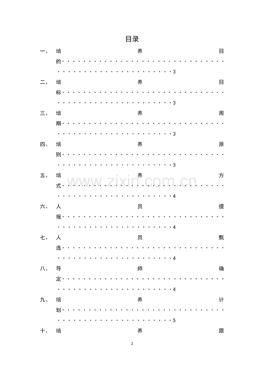 公司人才梯队建设方案(含附表).docx_第2页