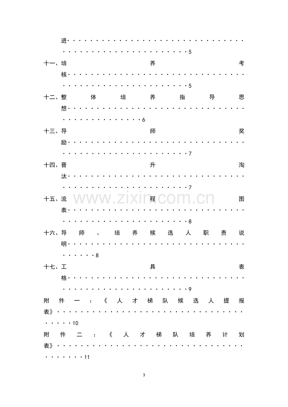 公司人才梯队建设方案(含附表).docx_第3页