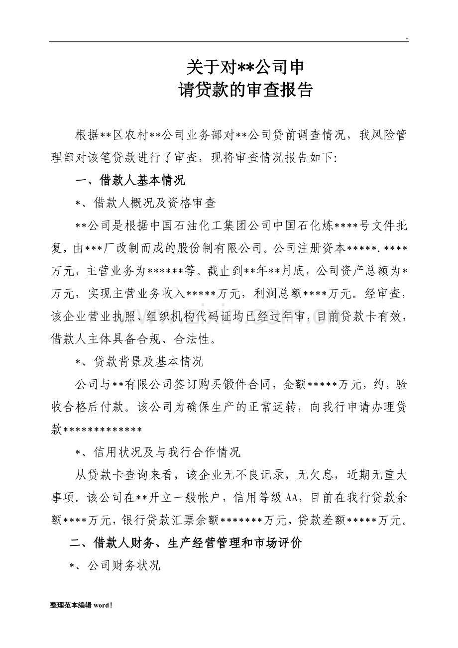 公司贷款审查报告.doc_第1页