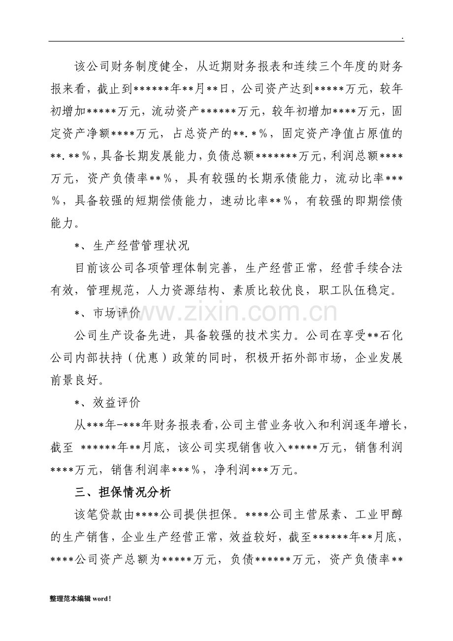 公司贷款审查报告.doc_第2页