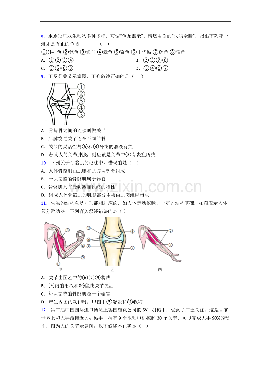 深圳大鹏华侨中学人教版八年级上册期中生物期中考试试卷及答案.doc_第2页