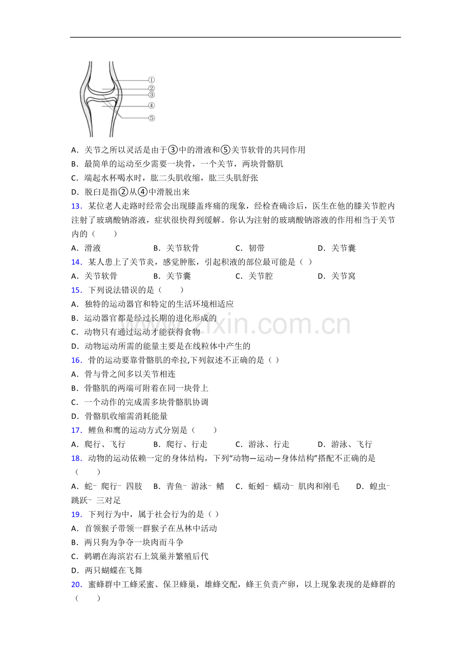 深圳大鹏华侨中学人教版八年级上册期中生物期中考试试卷及答案.doc_第3页