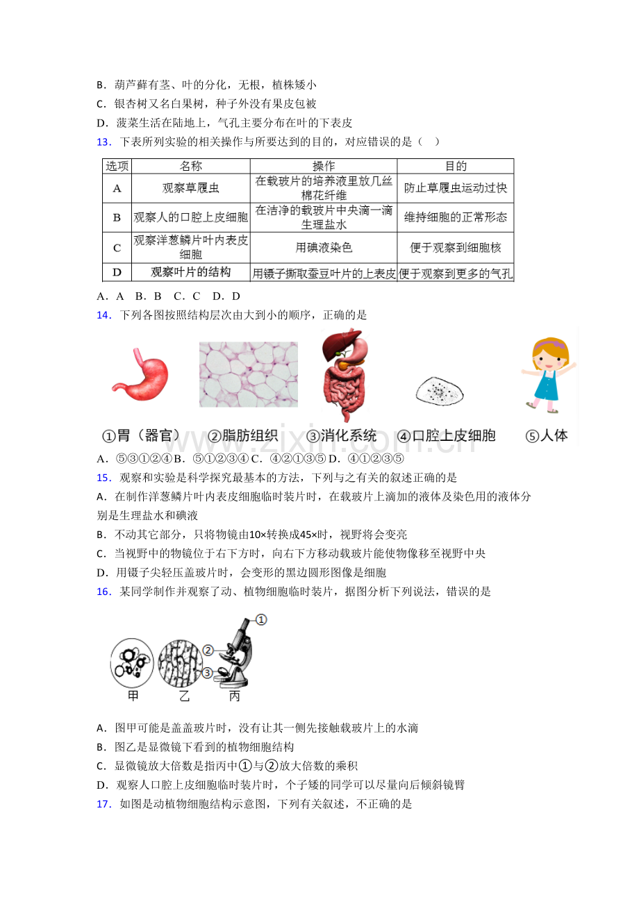 生物初一上学期期末模拟试卷带答案.doc_第3页