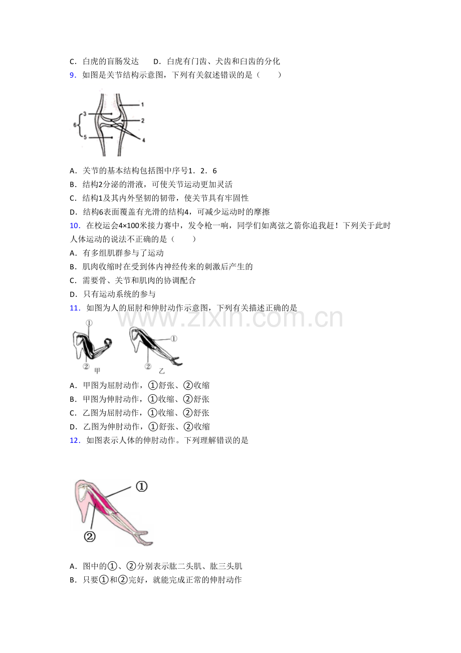 2023苏州市生物八年级上册期末试卷.doc_第2页