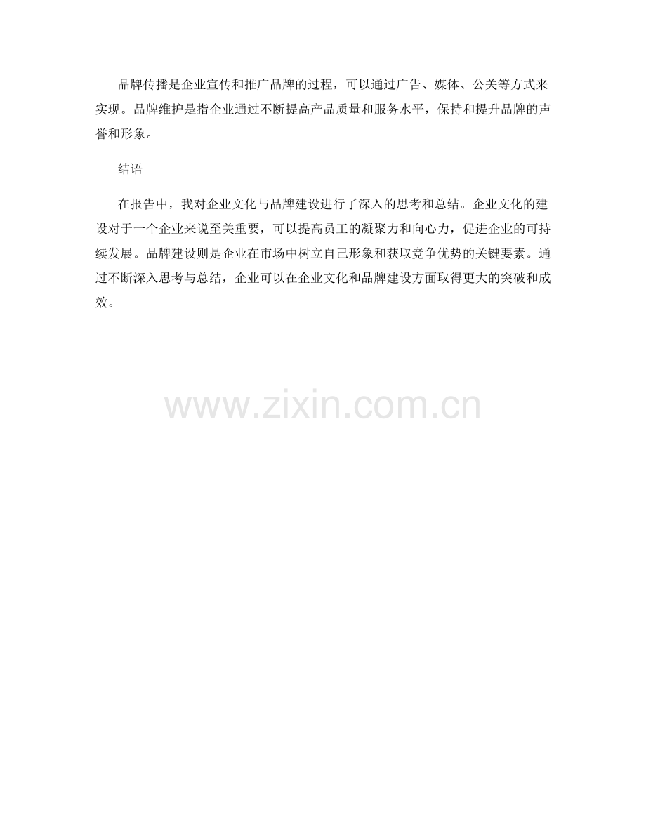 报告中对企业文化与品牌建设的思考与总结.docx_第2页