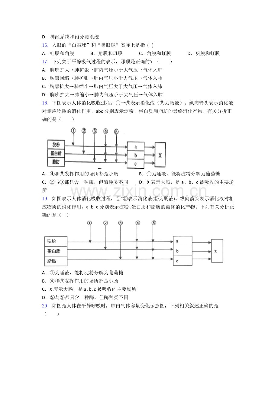 七年级生物下册期中复习知识点模拟.doc_第3页