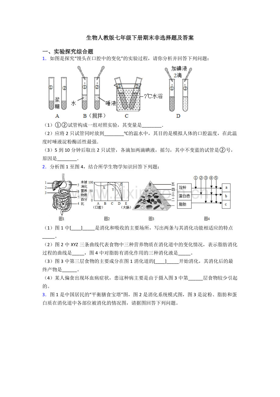 生物人教版七年级下册期末非选择题及答案.doc_第1页