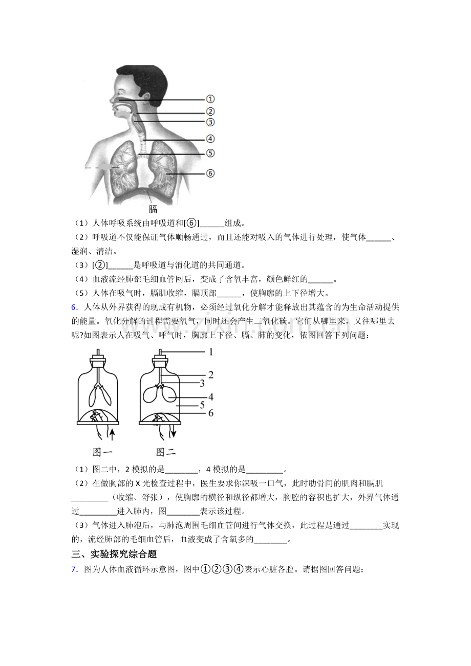 生物人教版七年级下册期末非选择题及答案.doc_第3页