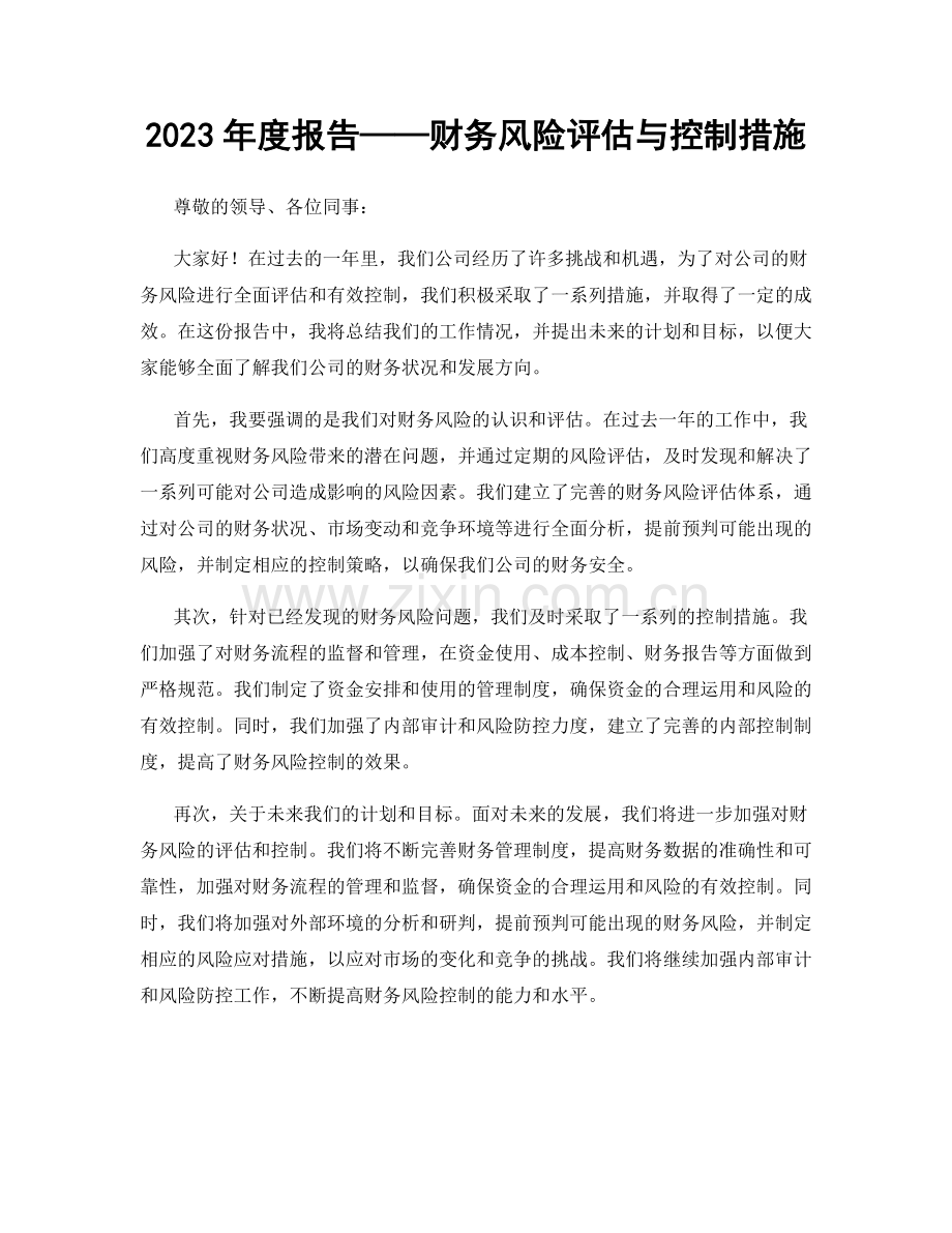 2023年度报告——财务风险评估与控制措施.docx_第1页