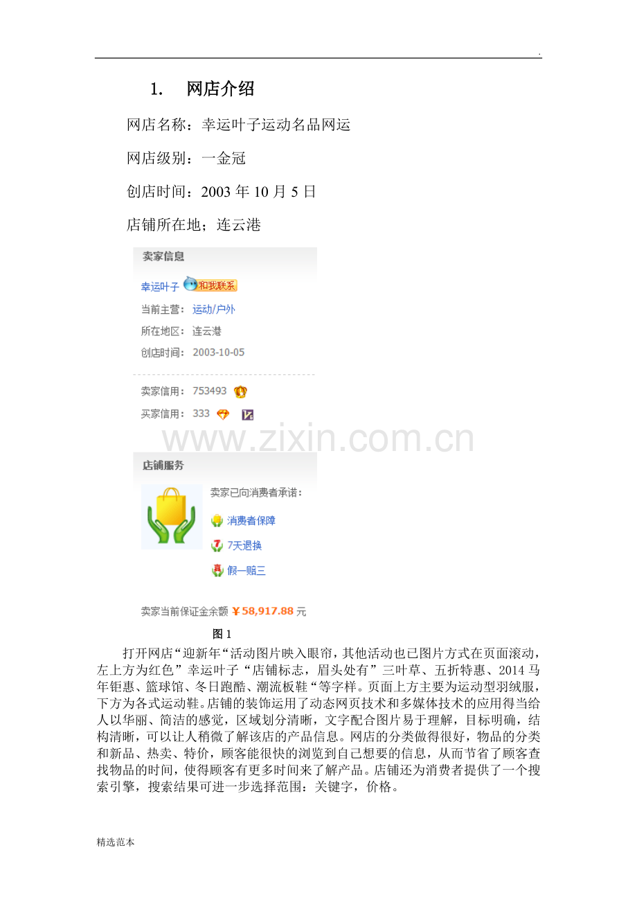 网店网络营销策划方案.doc_第3页