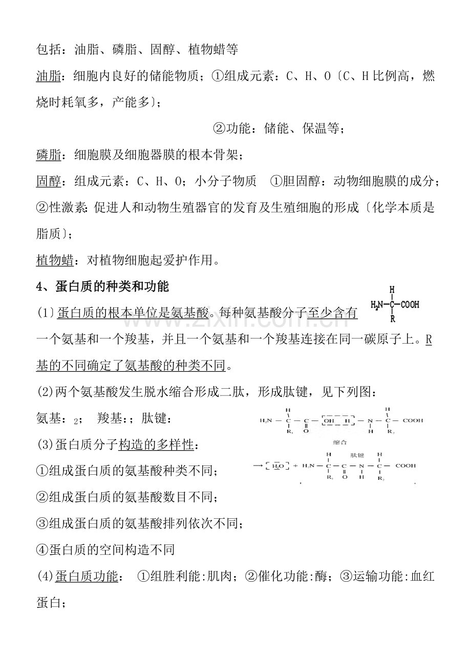 浙教版高中生物必修1知识点.docx_第2页