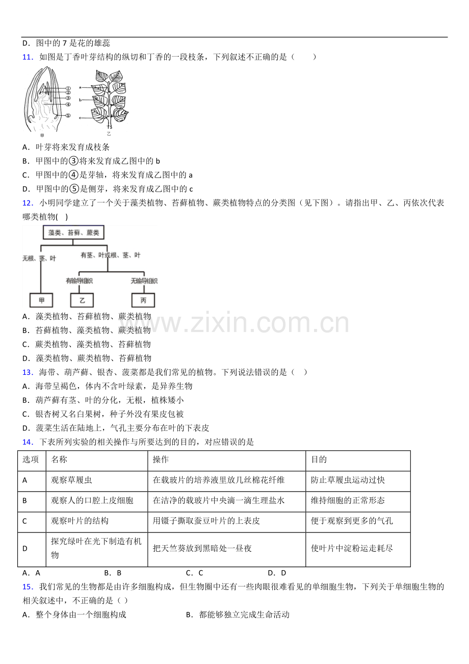 长沙市湖南师大附中七年级上册期中生物期中试卷.doc_第3页