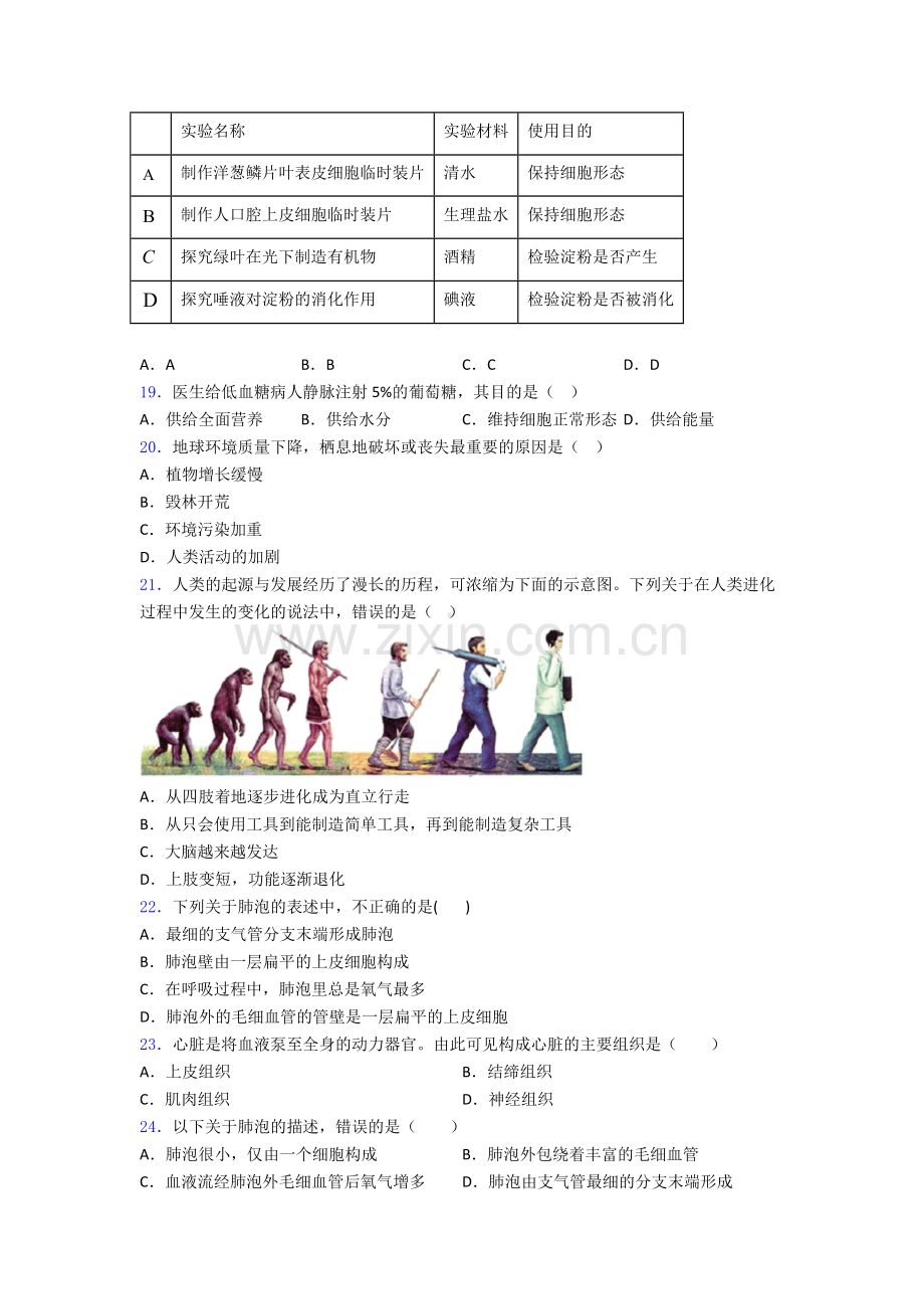 人教版七年级下册生物期中考试试卷及答案.doc_第3页