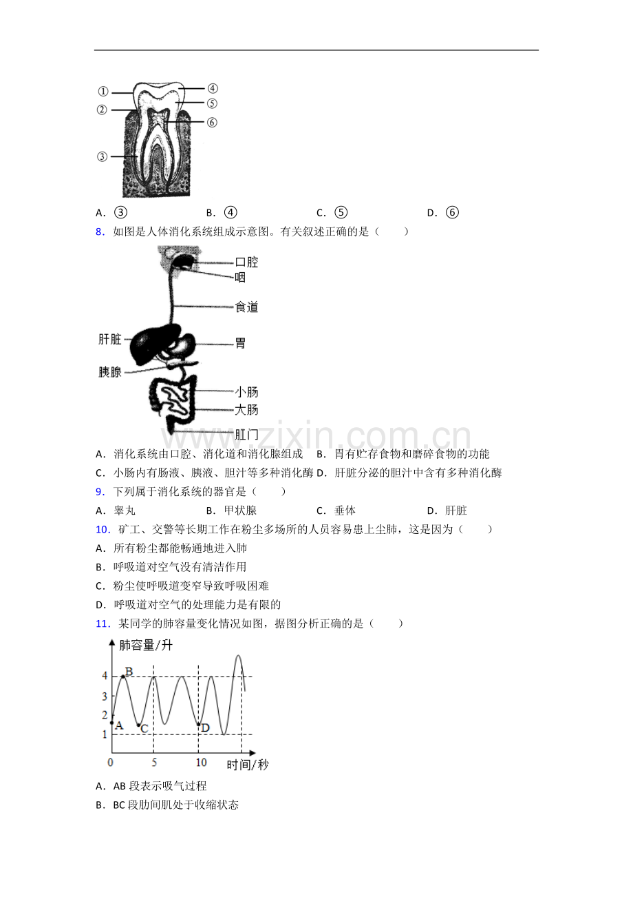 长沙市七年级下册期中生物期中试题及答案解答.doc_第2页