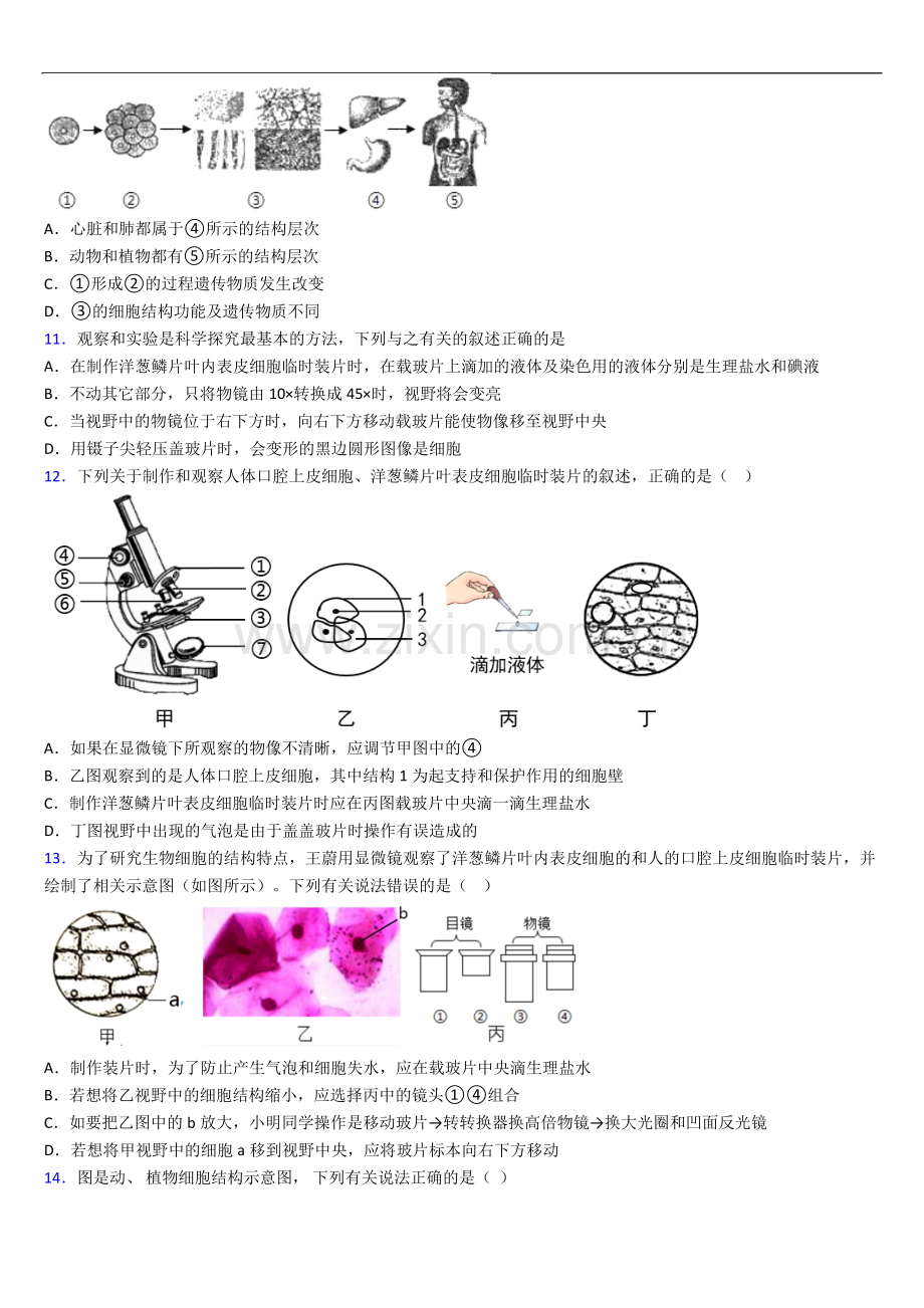 厦门市外国语学校人教版七年级上册期末生物期末试卷及答案.doc_第3页