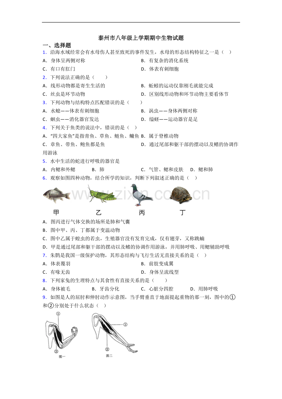 泰州市八年级上学期期中生物试题.doc_第1页