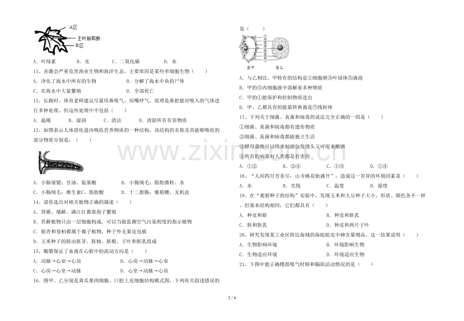 苏教版七年级《生物》上册期末考试题(附答案).doc_第2页