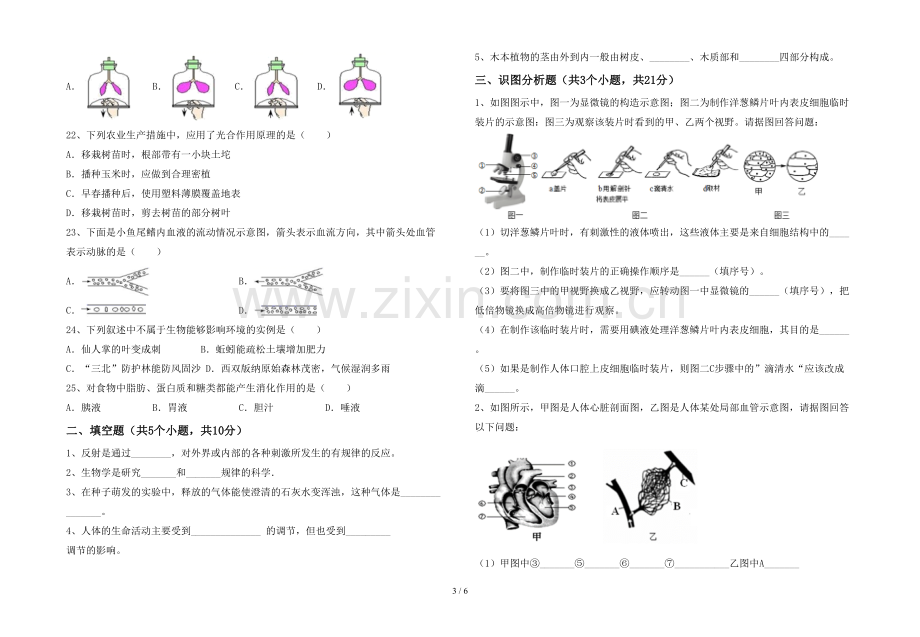 苏教版七年级《生物》上册期末考试题(附答案).doc_第3页