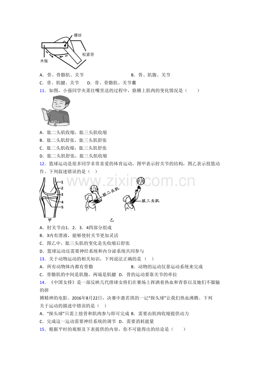 八年级生物上册期末试卷带答案.doc_第2页