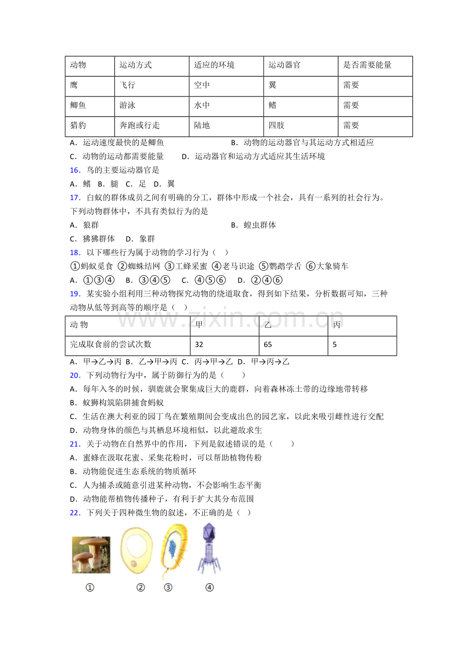 八年级生物上册期末试卷带答案.doc_第3页