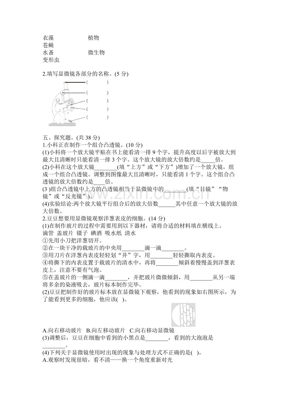 新版教科版2017版六年级上册科学第一单元《微小世界》测试试卷(1).doc_第3页