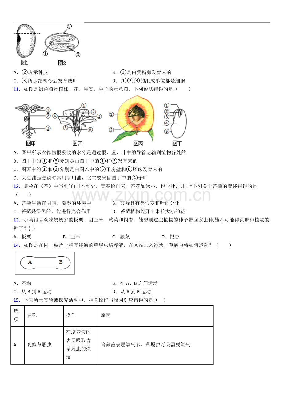 重庆市七年级上册期中生物期中试卷及答案.doc_第3页