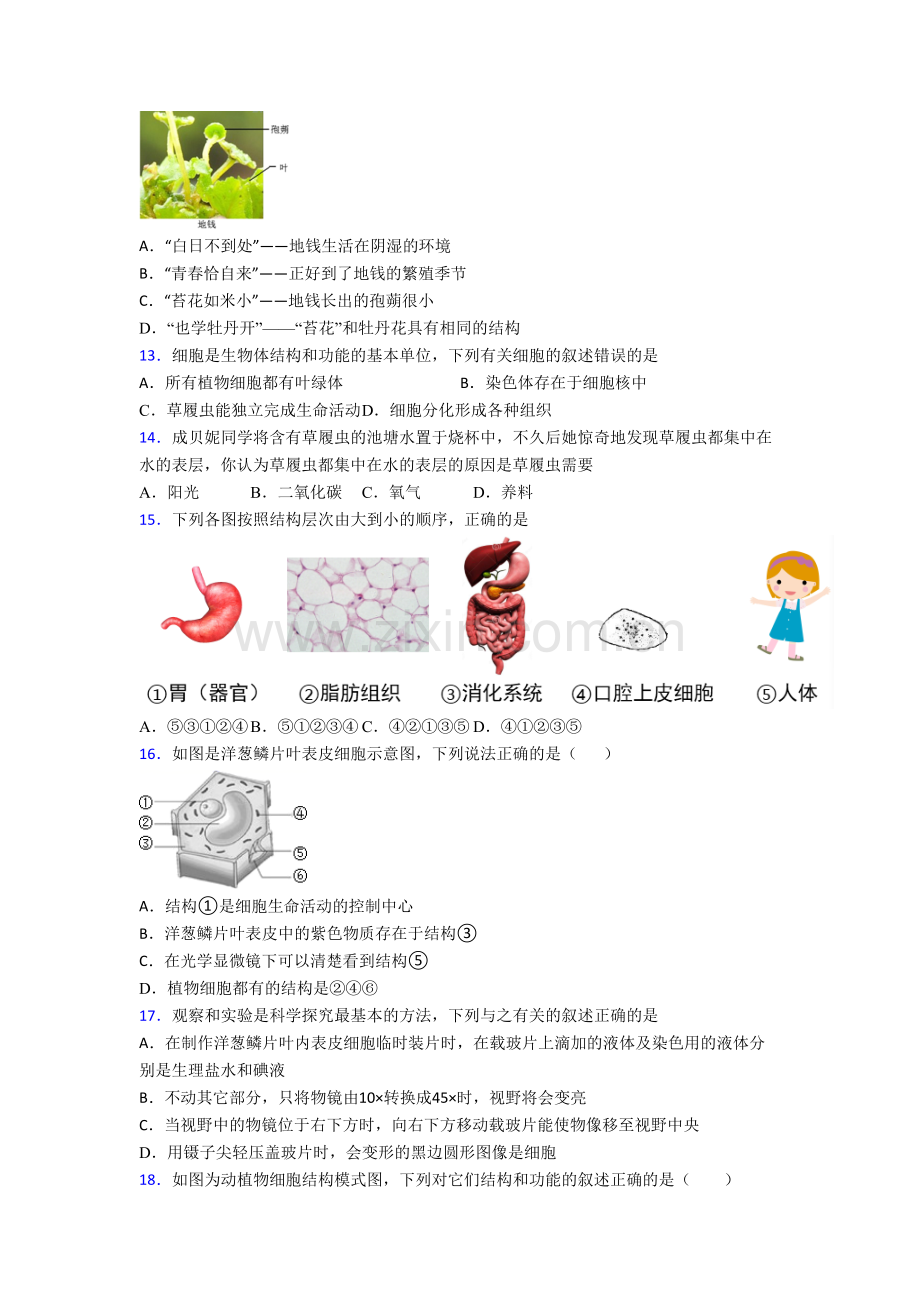 七年级生物上册期末试卷带答案.doc_第3页