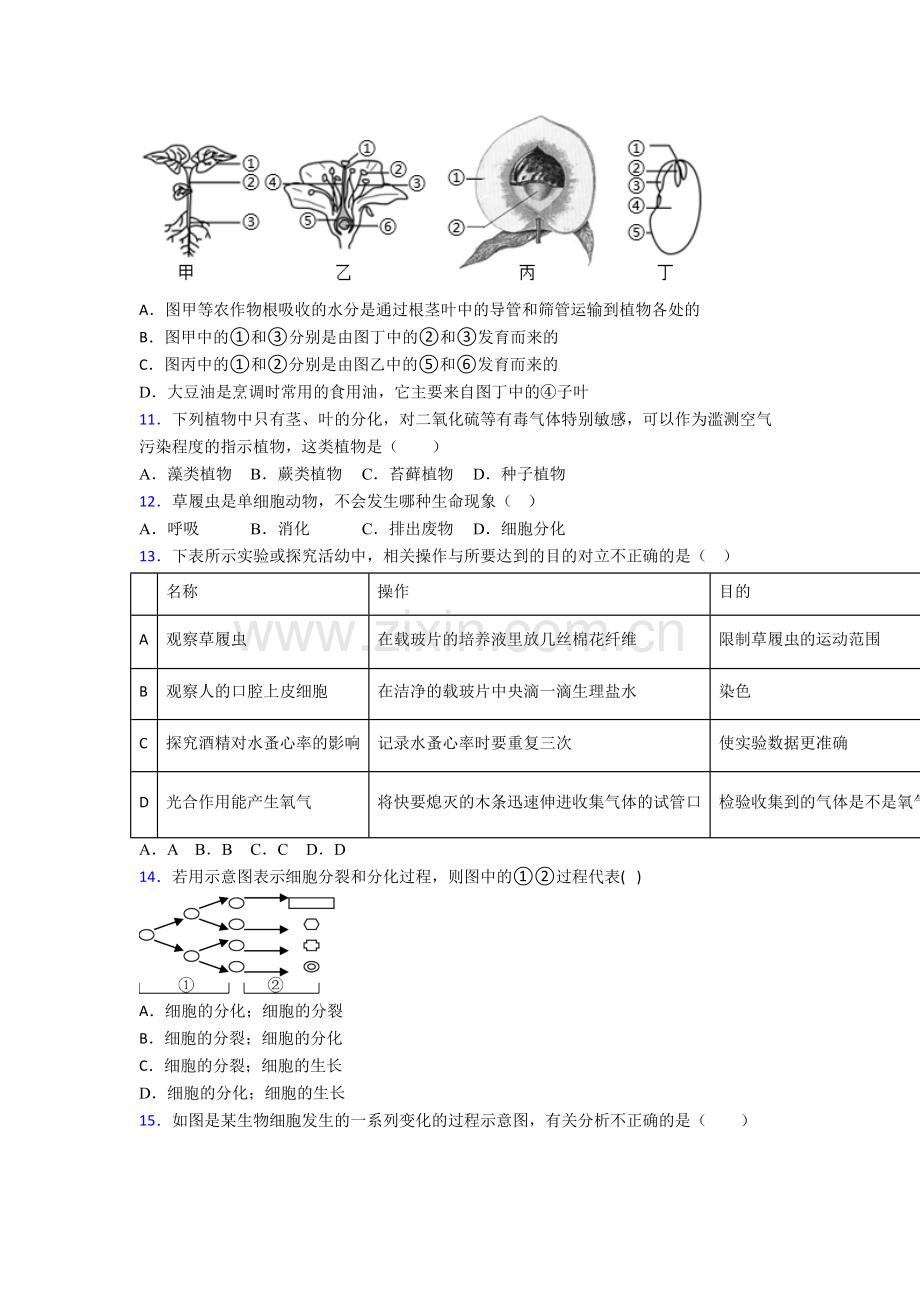 山西大学附属中学生物七年级上册期末试卷.doc_第3页