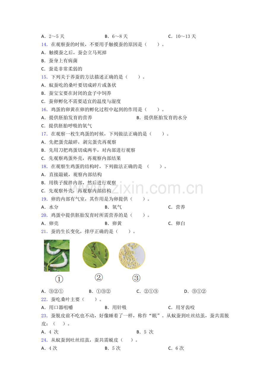 西安三年级下册科学期末试卷达标训练题(Word版含答案).doc_第2页