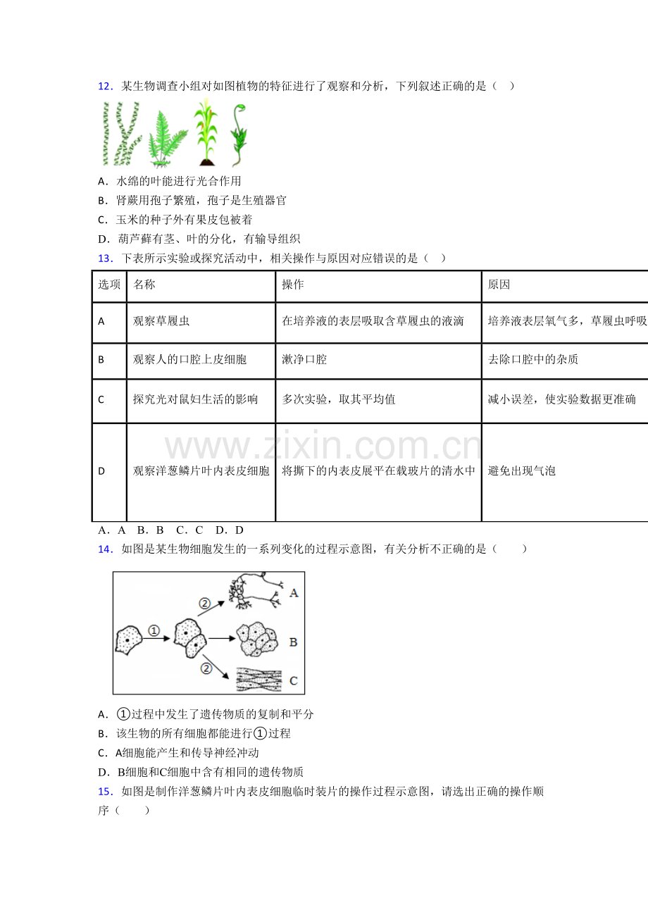 生物初一上学期期末模拟检测试卷含答案.doc_第3页