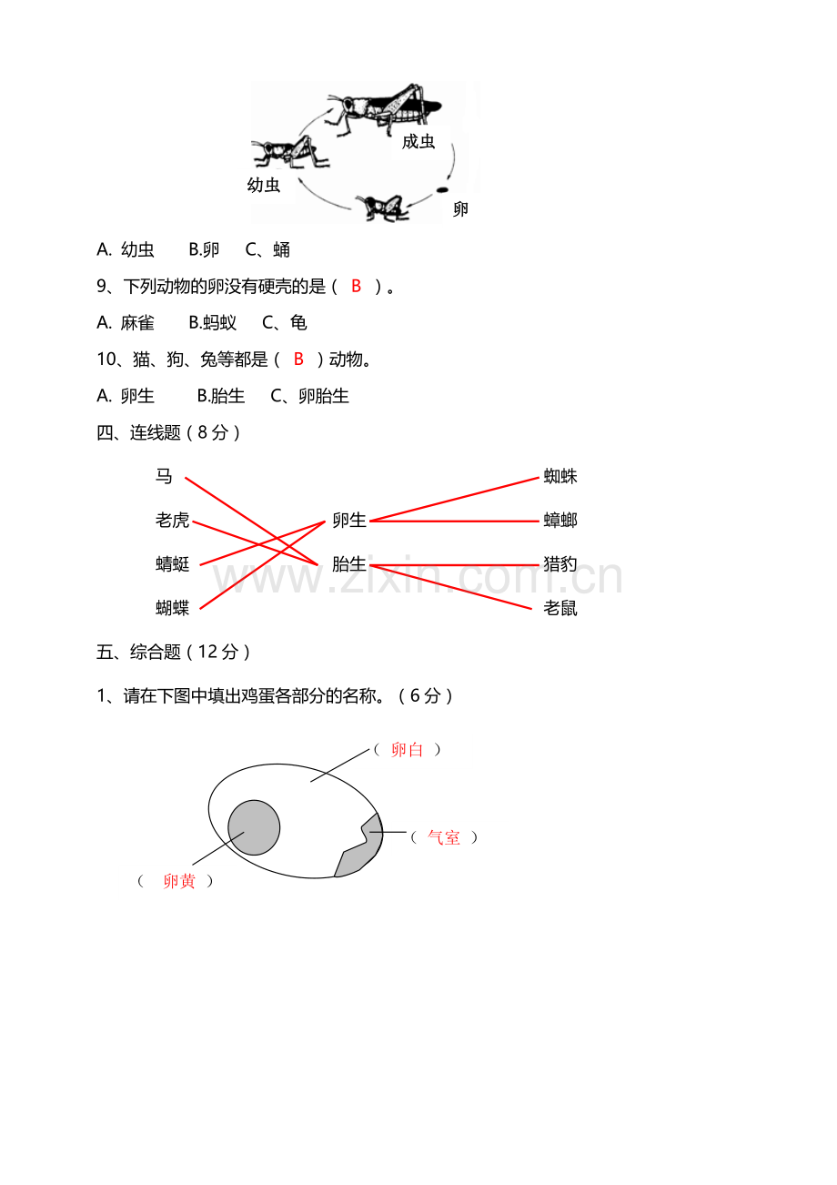 (新教材)(教科版)小学科学三年级下册第二单元动物的一生单元测试(答案版).doc_第3页