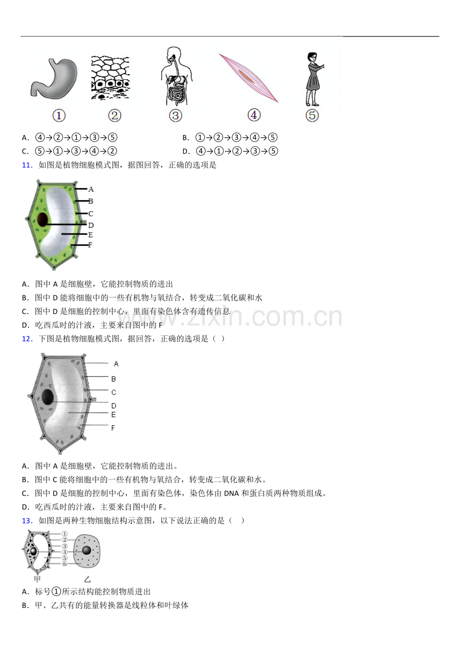 成都市棕北中学(科院校区)人教版七年级上册期末生物期末试卷及答案.doc_第2页