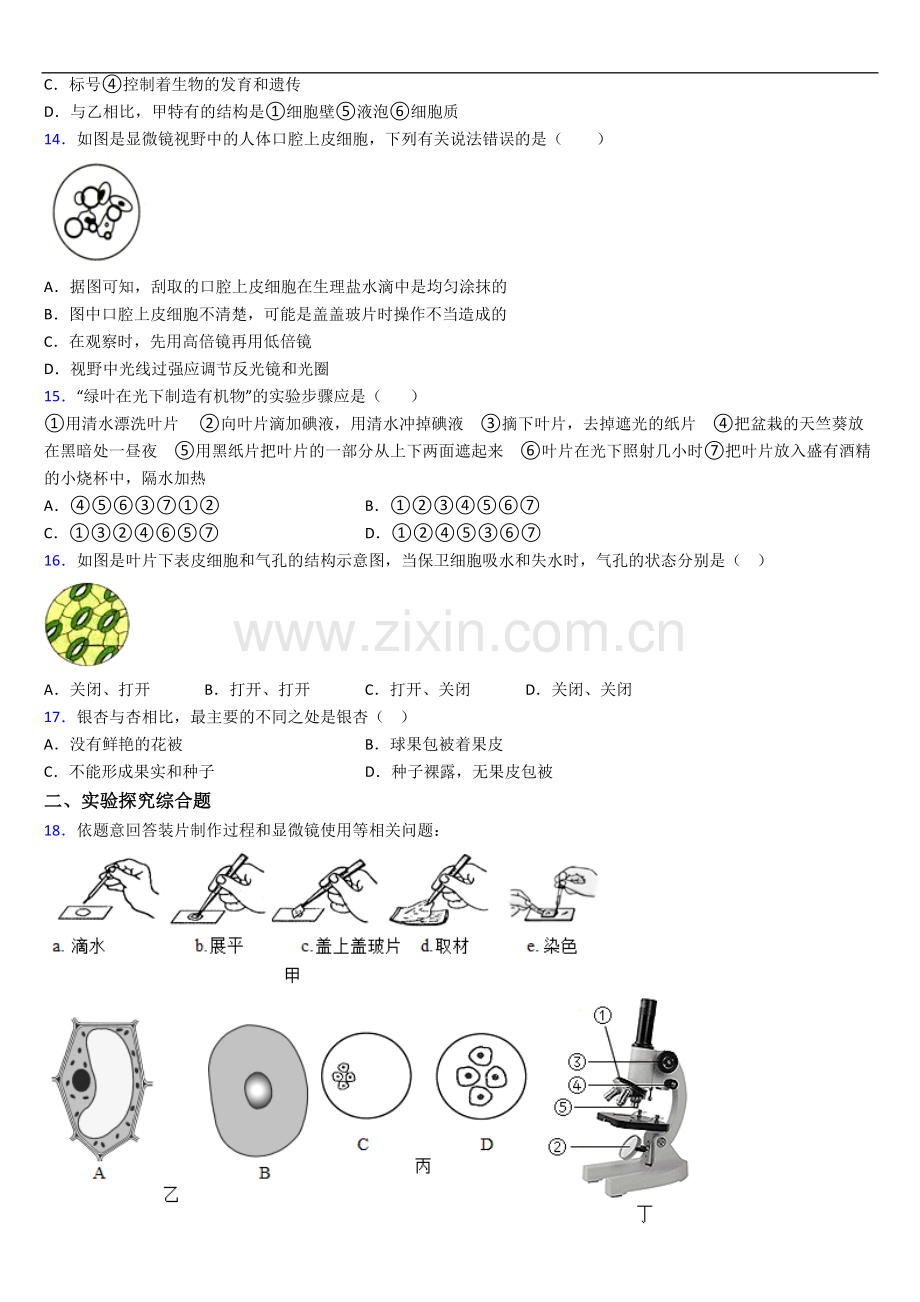 成都市棕北中学(科院校区)人教版七年级上册期末生物期末试卷及答案.doc_第3页