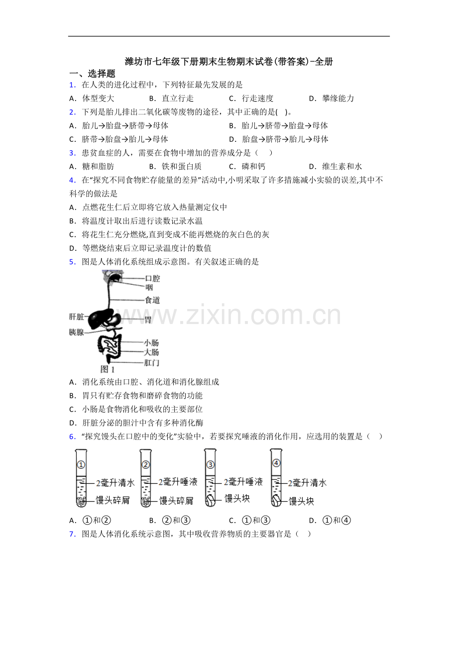 潍坊市七年级下册期末生物期末试卷(带答案)-全册.doc_第1页