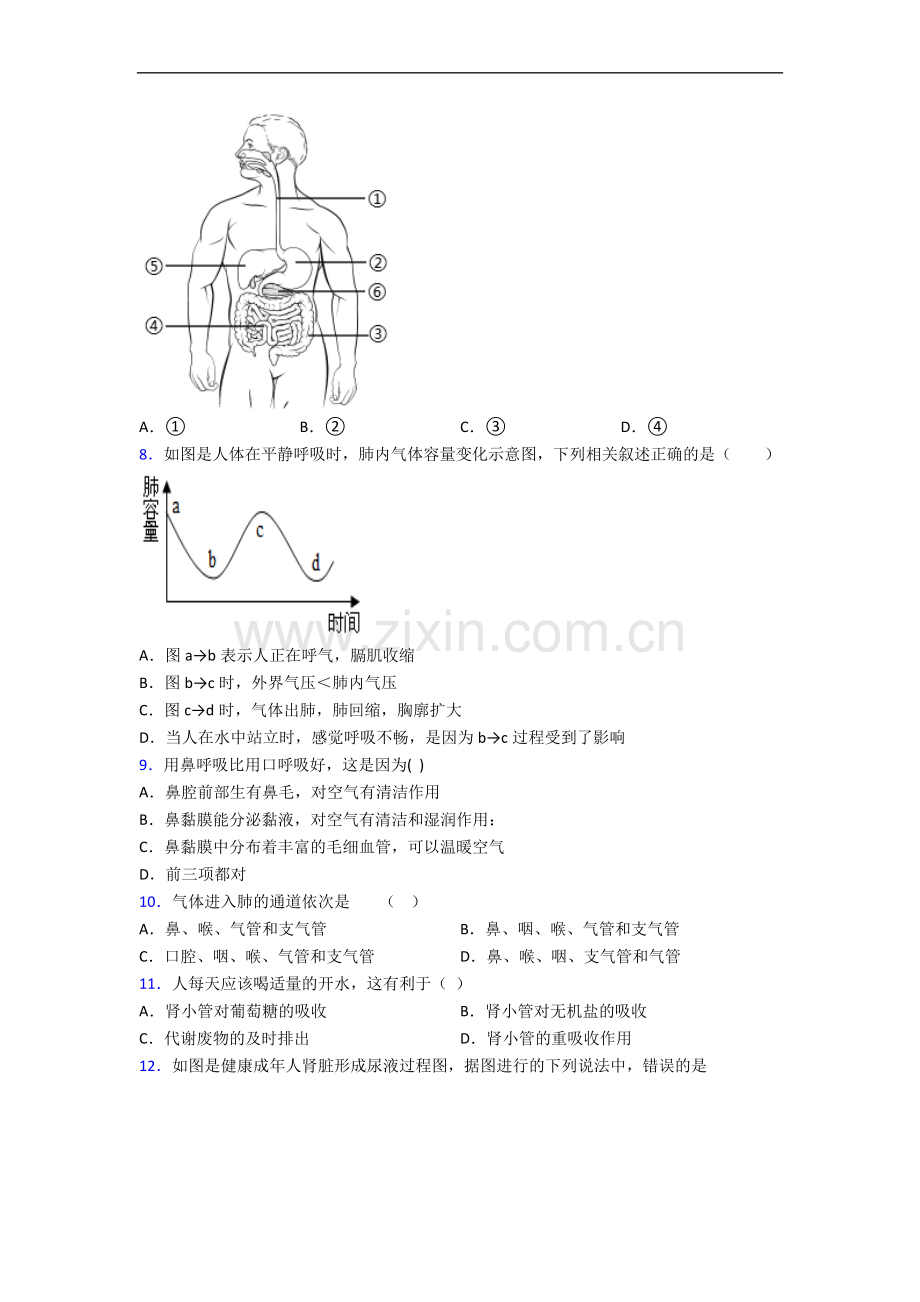 潍坊市七年级下册期末生物期末试卷(带答案)-全册.doc_第2页