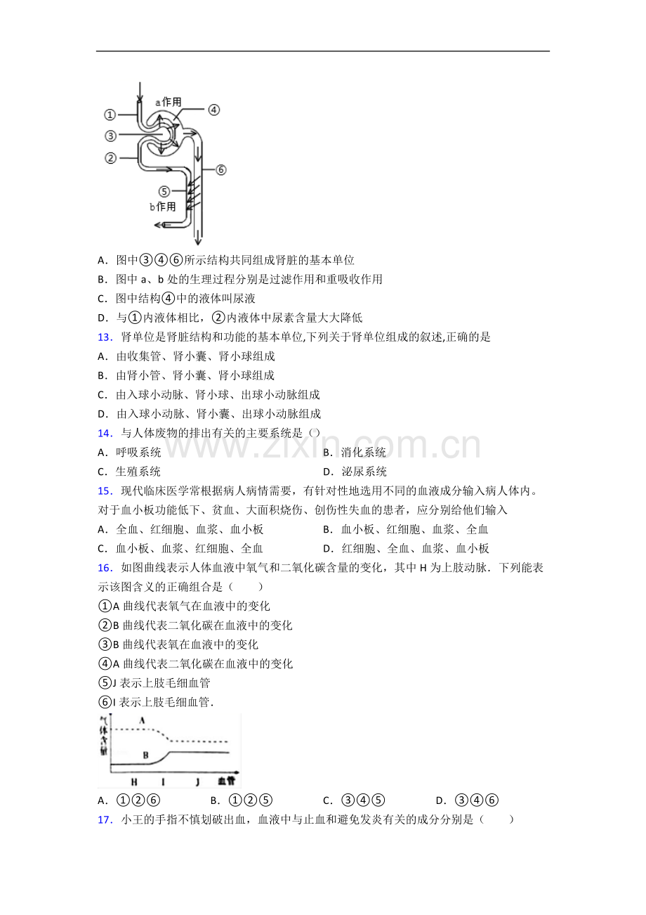 潍坊市七年级下册期末生物期末试卷(带答案)-全册.doc_第3页