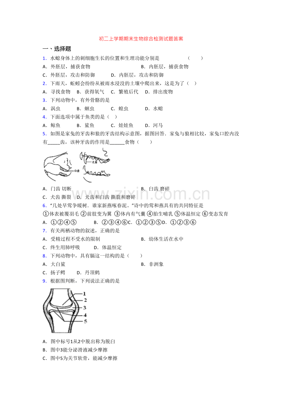 初二上学期期末生物综合检测试题答案.doc_第1页