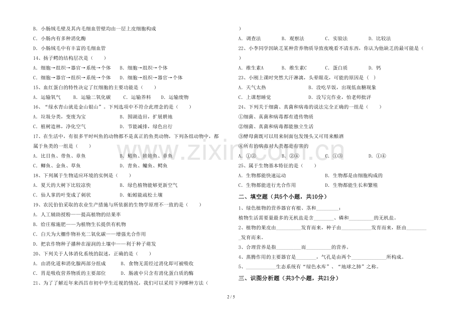 苏教版七年级生物上册期末试卷(参考答案).doc_第2页