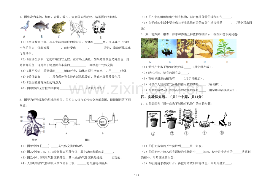 苏教版七年级生物上册期末试卷(参考答案).doc_第3页