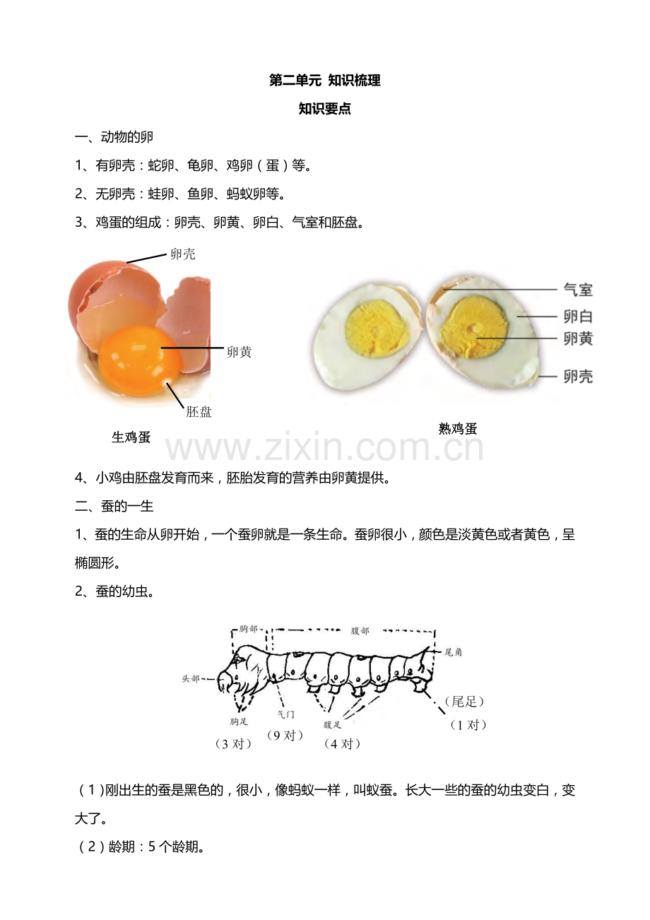 (新教材)(教科版)小学科学三年级下册第二单元动物的一生知识要点.doc_第1页