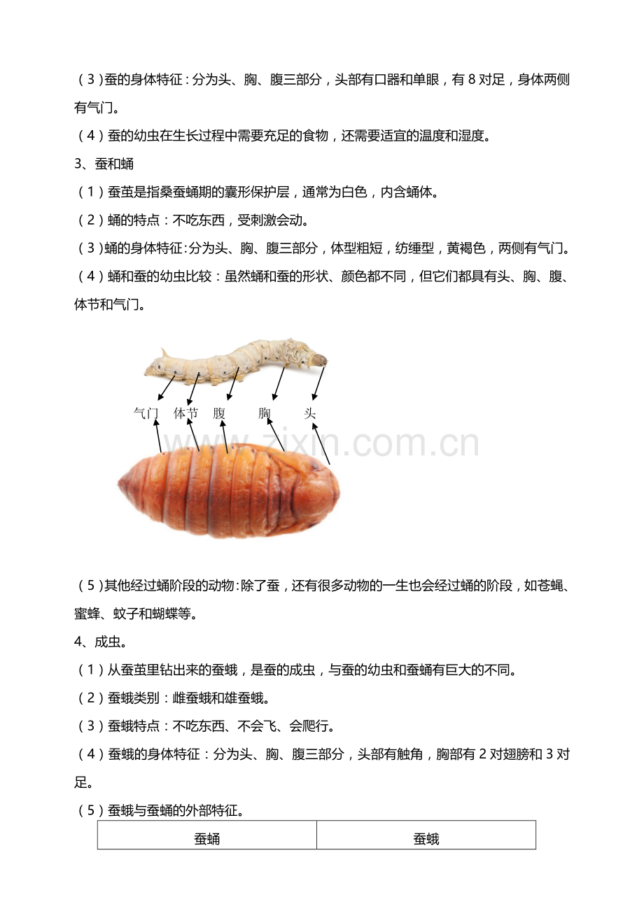 (新教材)(教科版)小学科学三年级下册第二单元动物的一生知识要点.doc_第2页