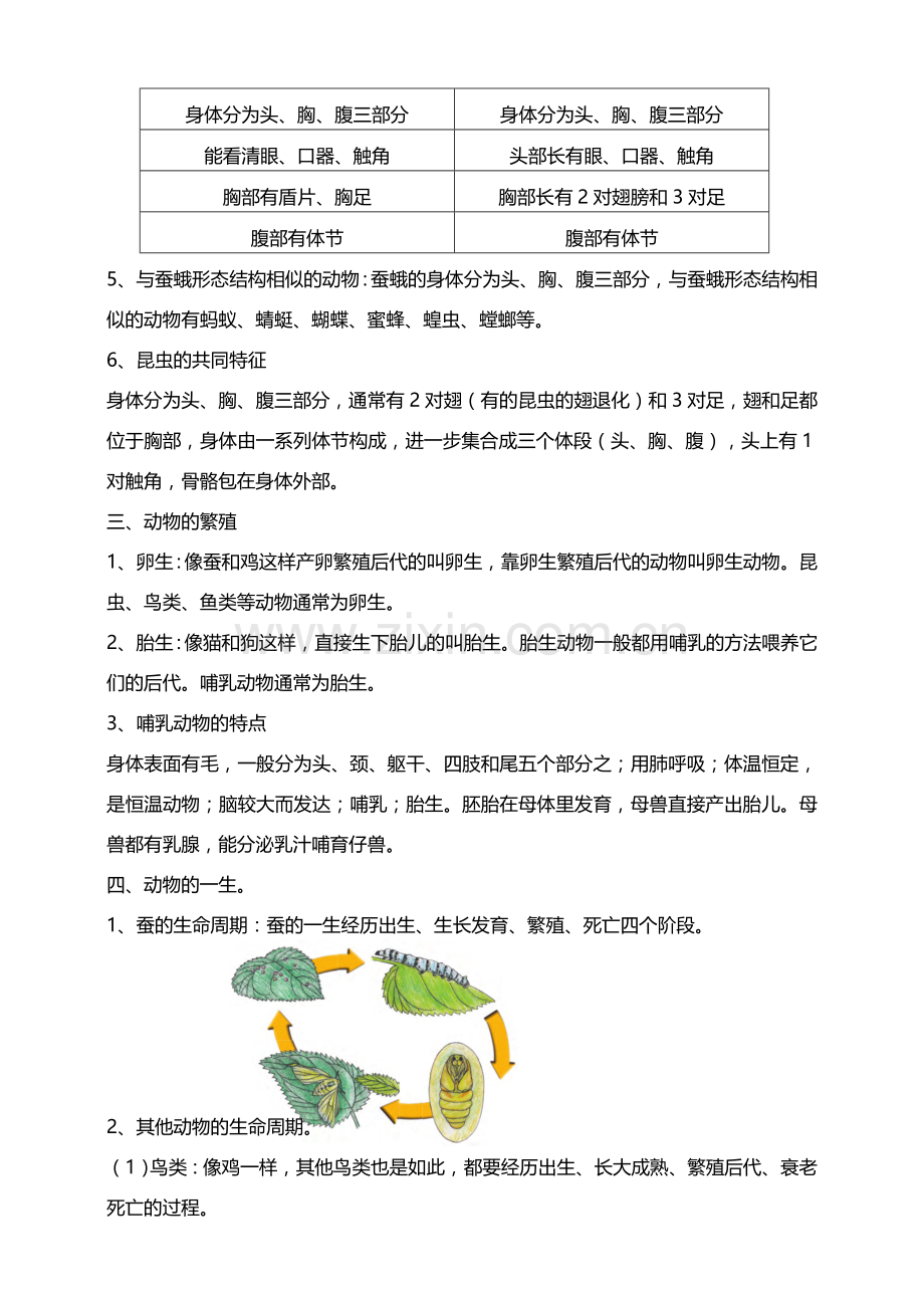 (新教材)(教科版)小学科学三年级下册第二单元动物的一生知识要点.doc_第3页