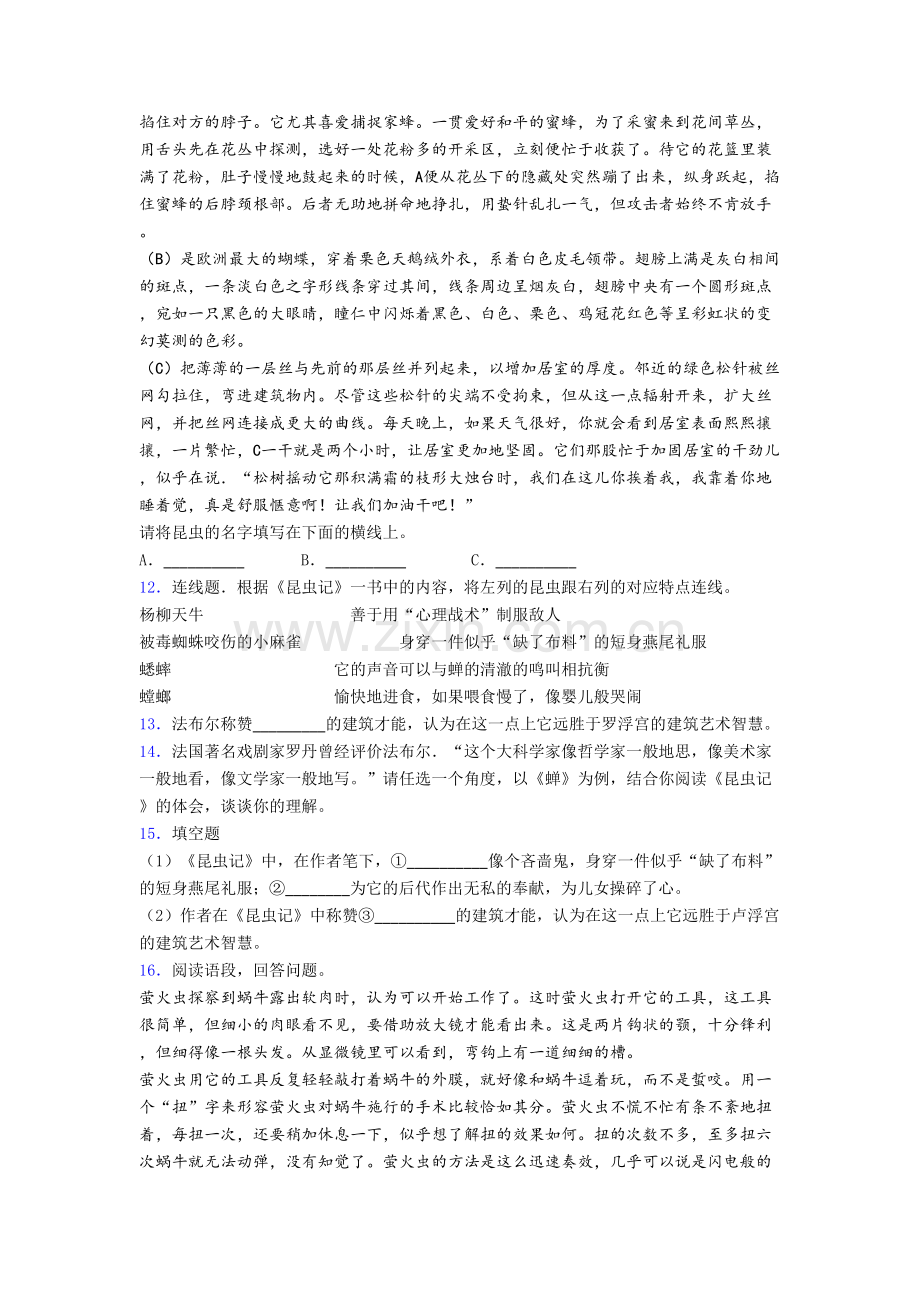 八年级语文昆虫记名著阅读测试及答案.doc_第3页