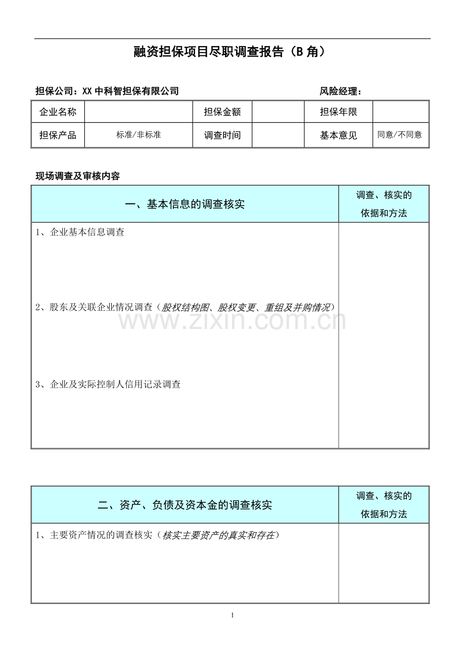 融资担保项目尽职调查报告(B角).doc_第1页