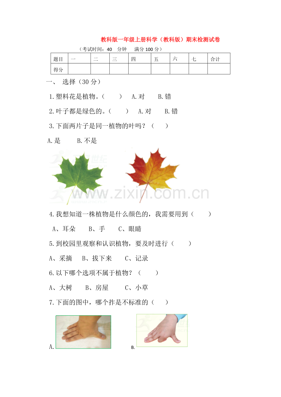 教科版一年级上册科学(教科版)期末检测试卷.doc_第1页